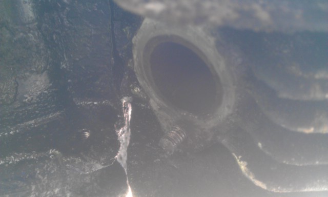 IMAG0179.jpg