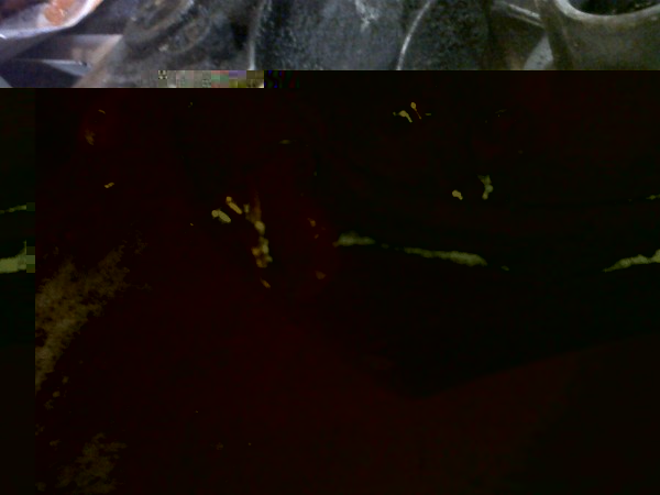 IMG00611-20120805-1202.jpg (316.36 KiB) 23431 keer bekeken IMG00611-20120805-1202.jpg