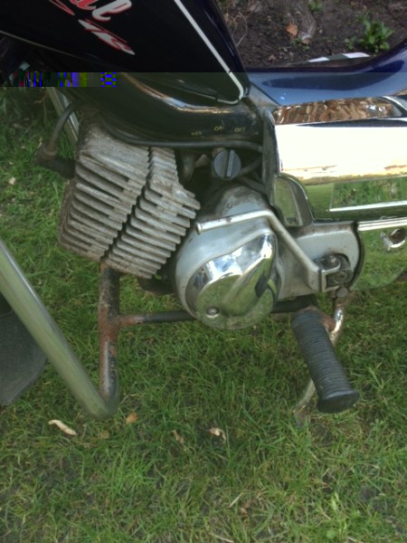 image4.jpeg