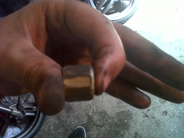 IMG00620-20120805-1212.jpg (355.86 KiB) 21203 keer bekeken IMG00620-20120805-1212.jpg